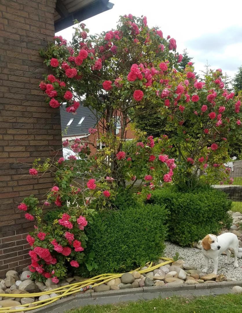 Ostfriesland Appartement
